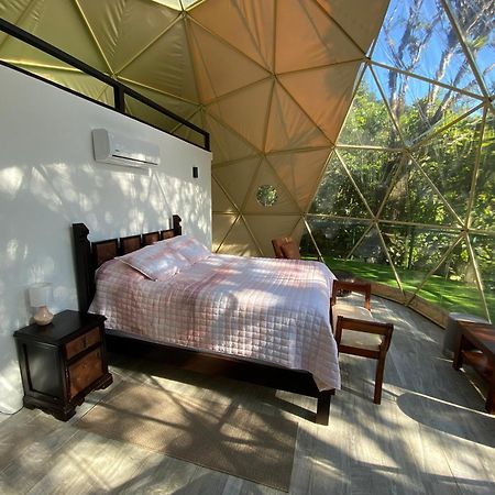 Way To Heaven Glamping Hotel Monteverde Ngoại thất bức ảnh