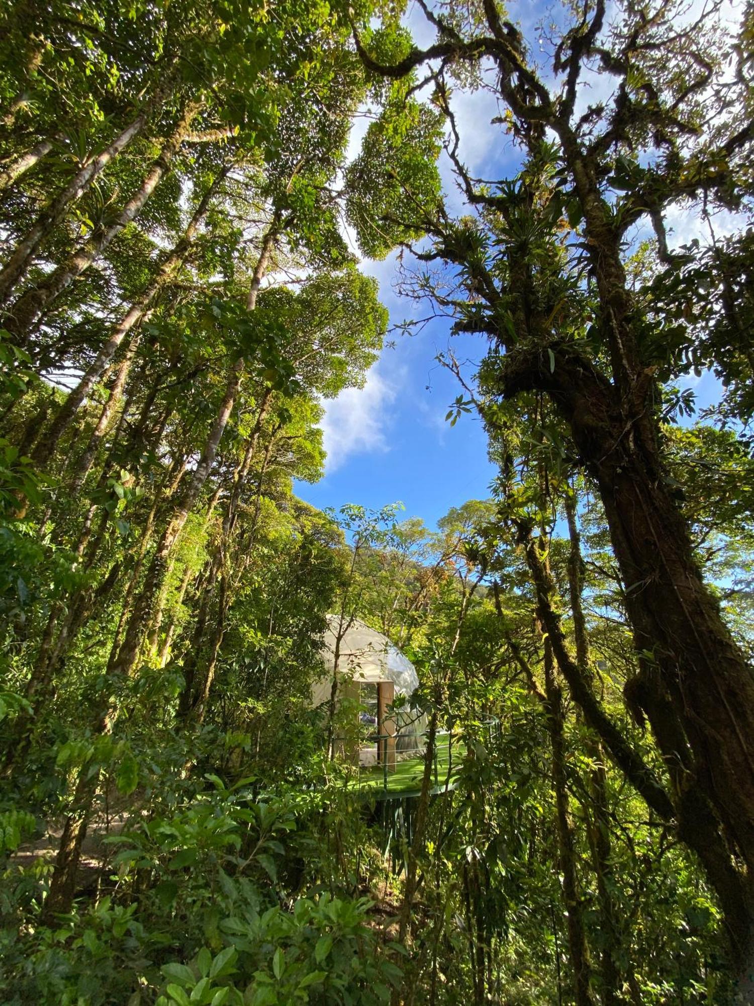Way To Heaven Glamping Hotel Monteverde Ngoại thất bức ảnh