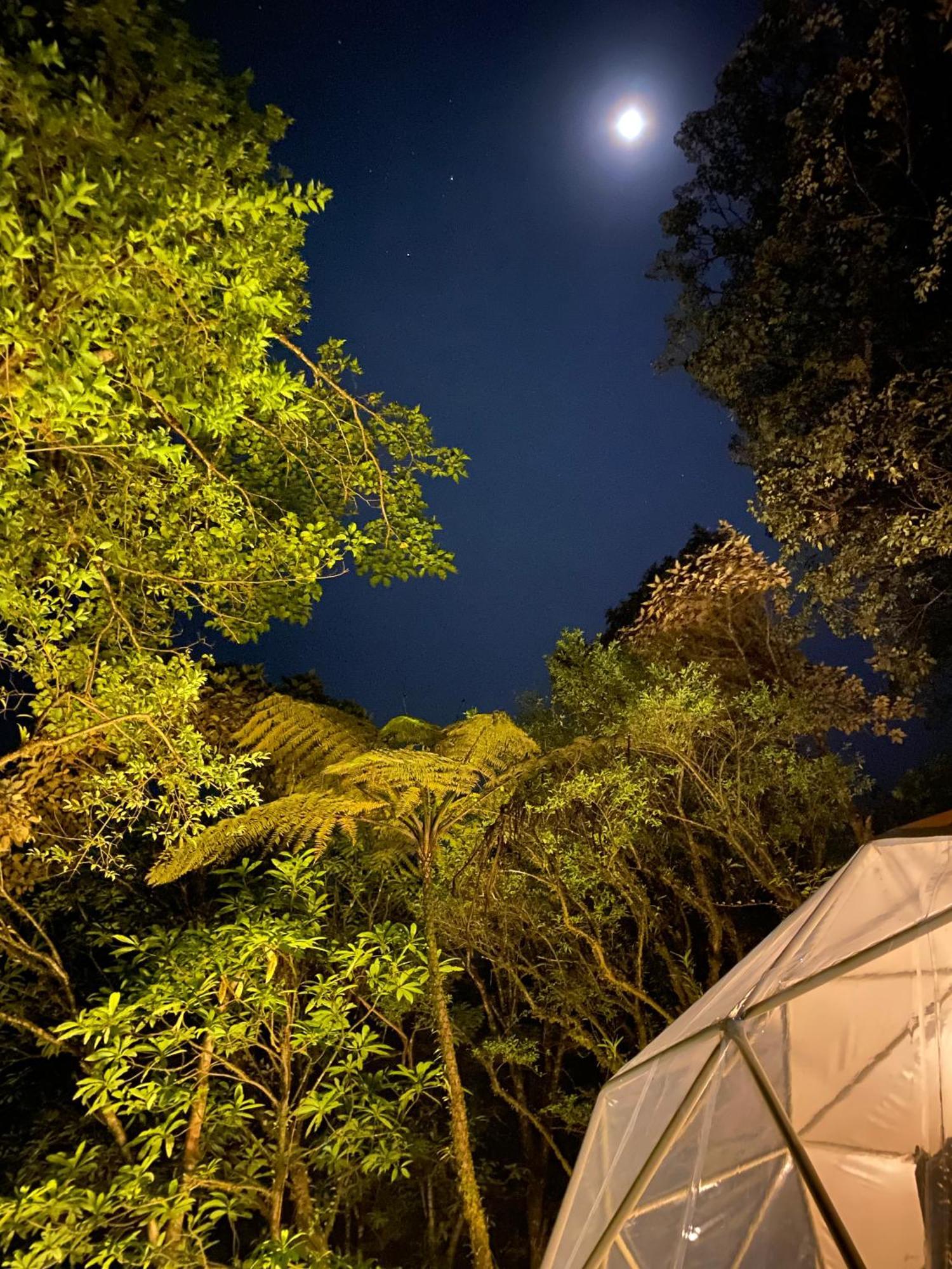 Way To Heaven Glamping Hotel Monteverde Ngoại thất bức ảnh